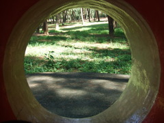 ひたち海浜公園にて