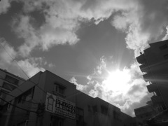 モノクロ写真の練習