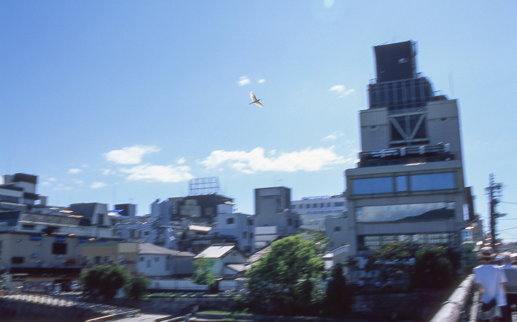 台風一過③