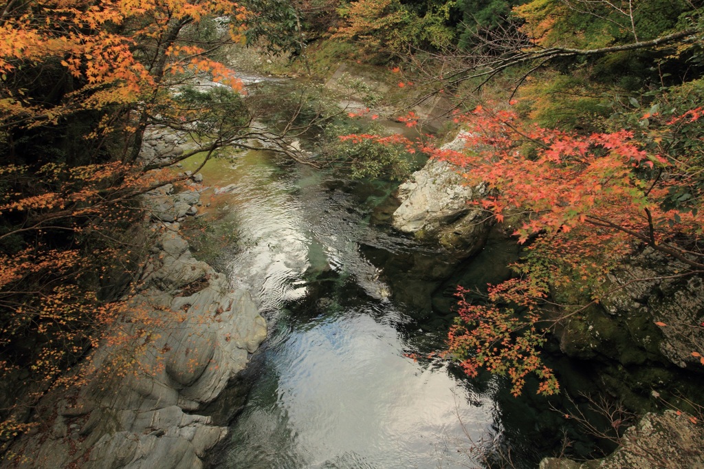 静かな小川