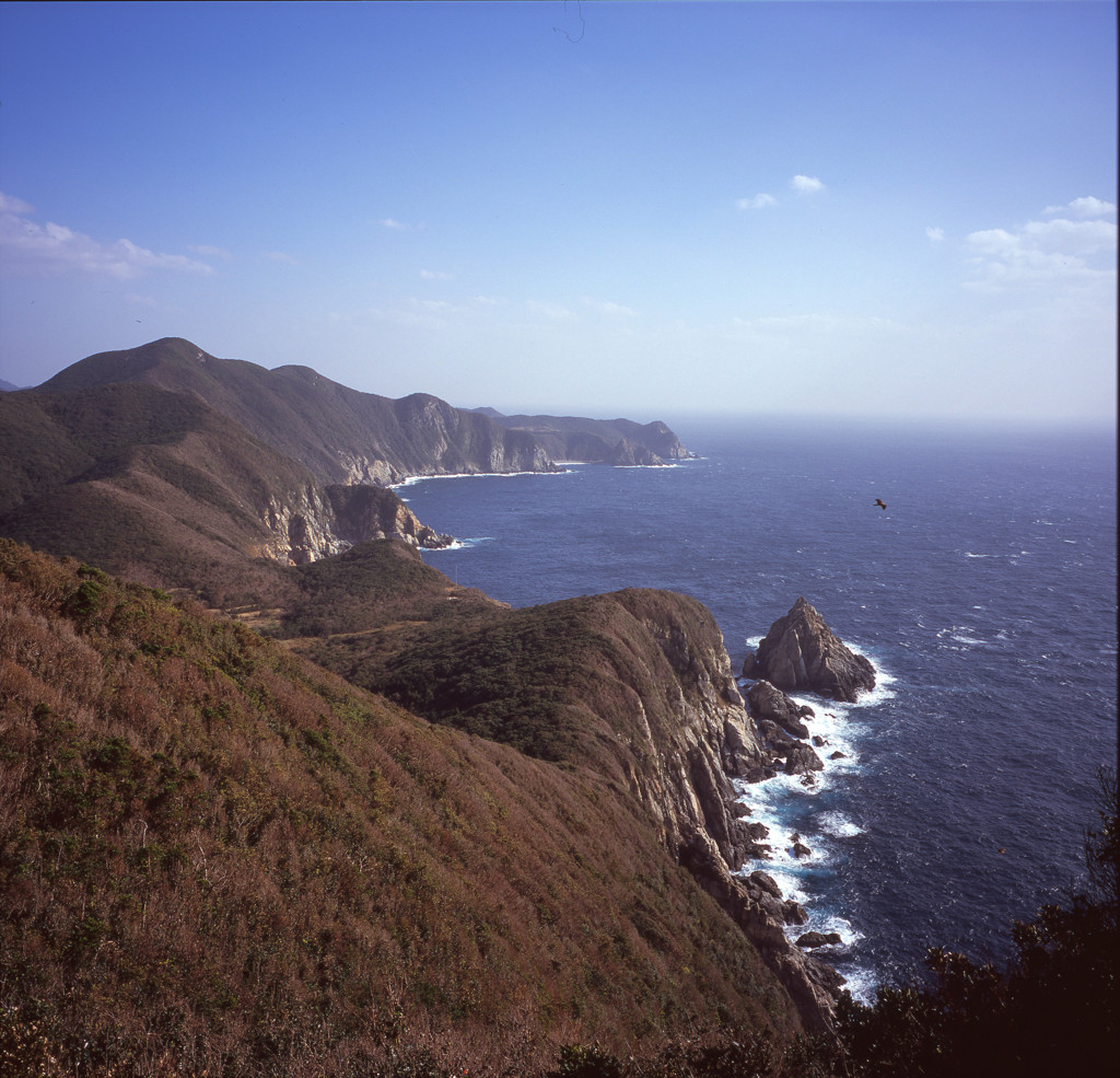 大空大海