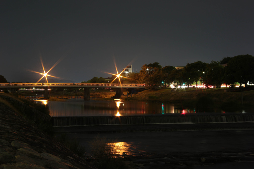 夜景試写