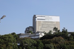 姫路城絶賛覆われている状態