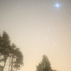 一夜の夢
