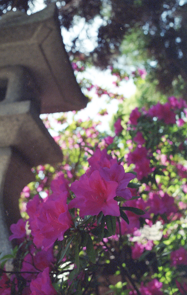 御霊神社①