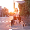 夕刻