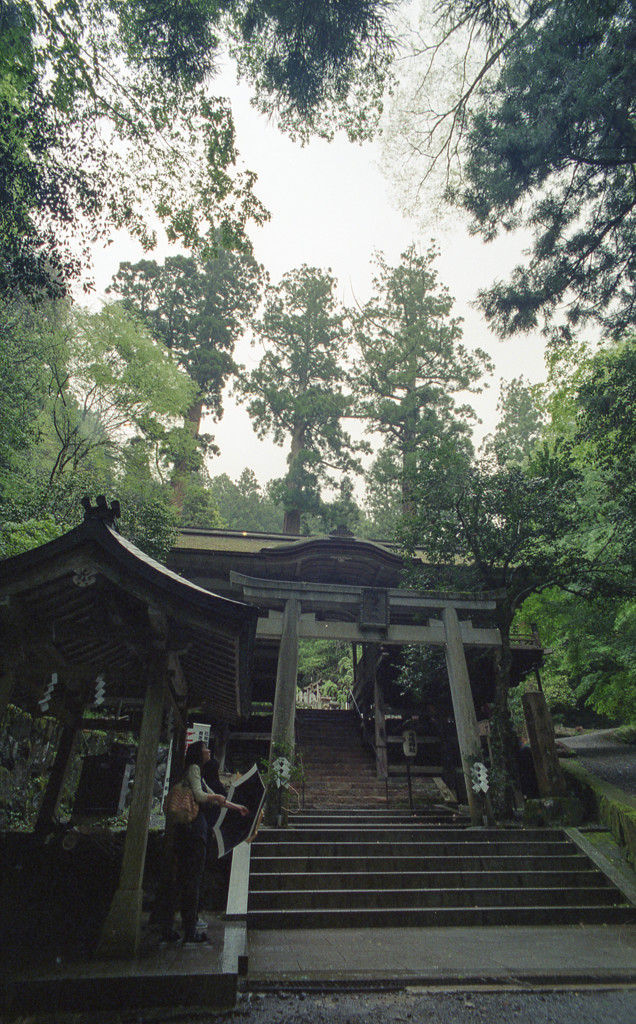 雨上がり