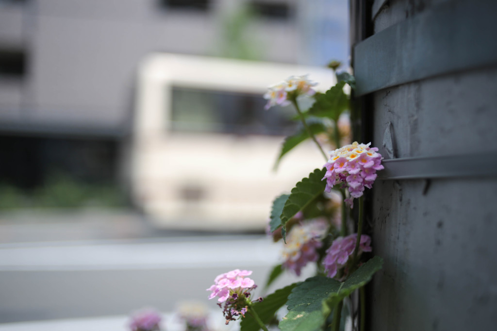 支え