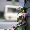 支え