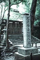 不許葷辛酒肉入山門