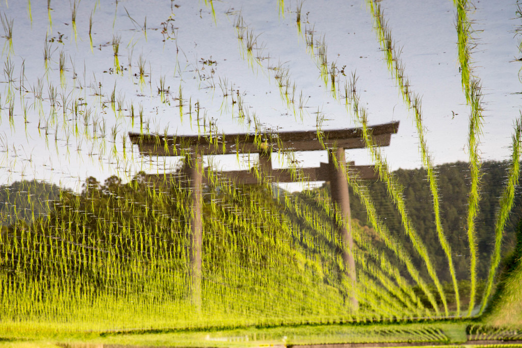 大鳥居