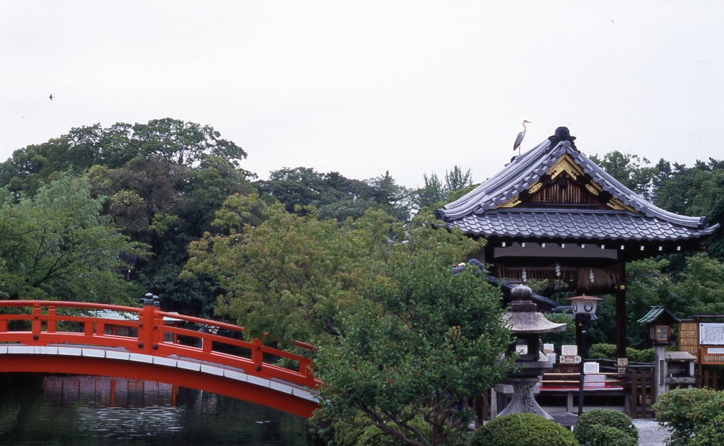 神泉苑