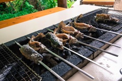いわなの変遷～焼かれる～