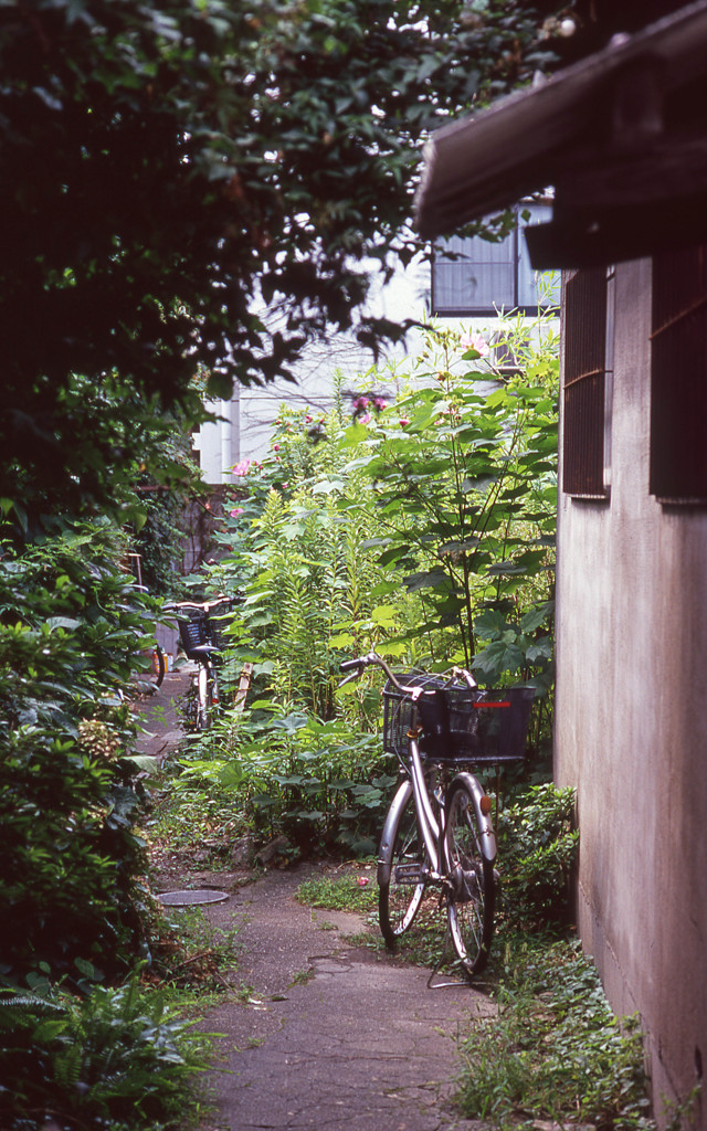 京都のあるところ