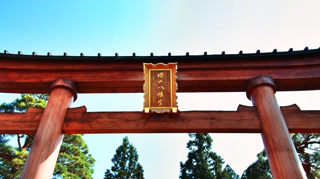 桜山八幡宮。
