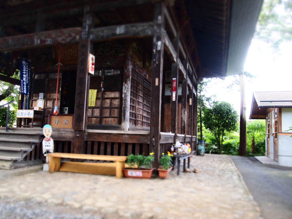 夏、神社