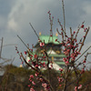 大阪城梅林園