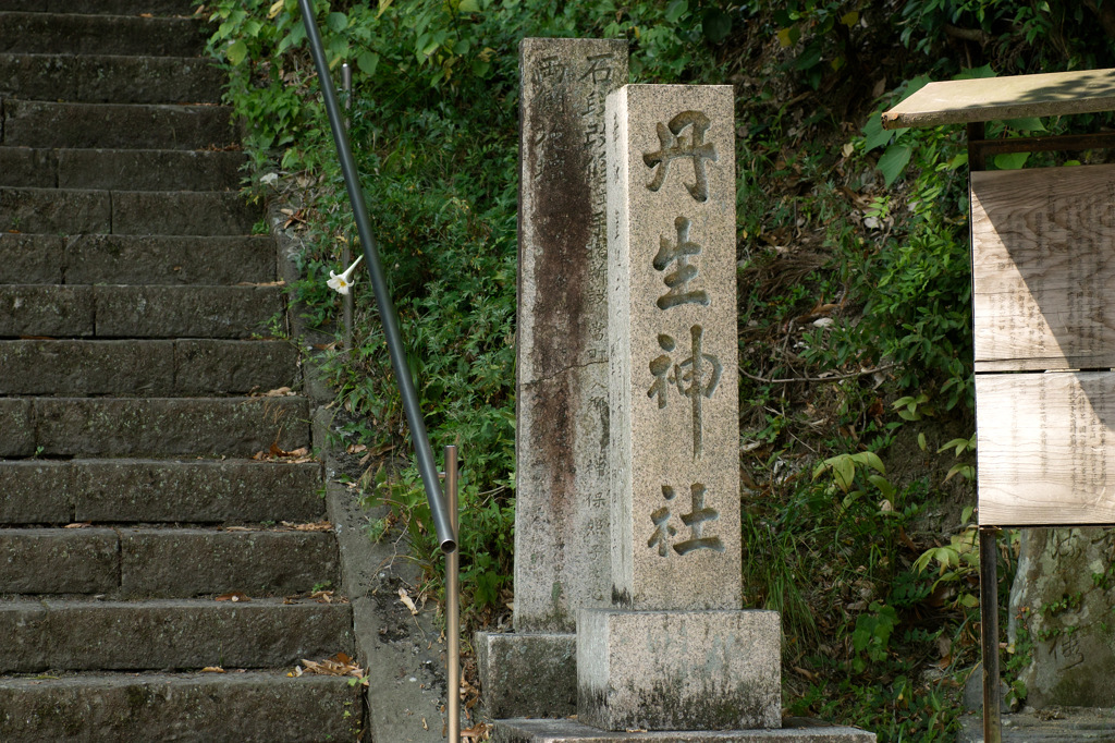 丹生神社