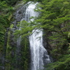 箕面の大滝