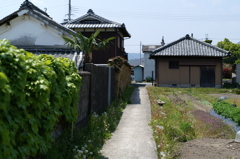 もちむぎの館〜風景