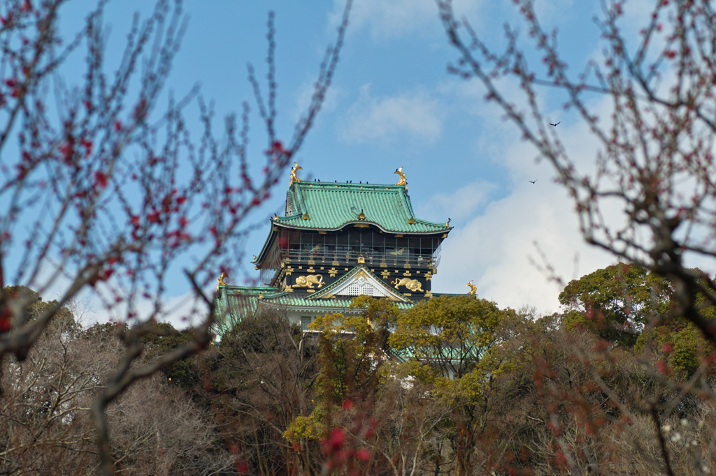 大阪城梅林園