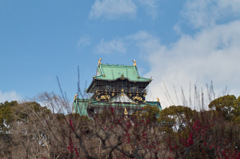 大阪城梅林園