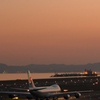 夕日に染まる飛行機