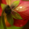 華やかさの裏側