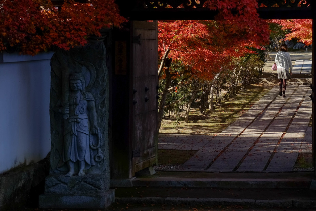 紅葉狩り