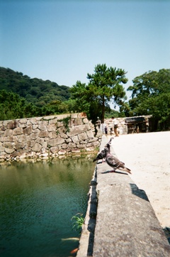 『写ルンです』萩城址