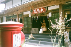 『写ルンです』ネコ寺