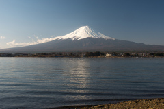 河口湖から望む富士