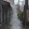 台風5号の猛列な雨