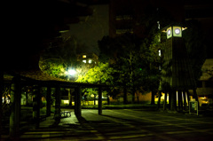 夜の清澄公園2