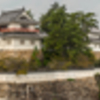 彩づき始めた福山城