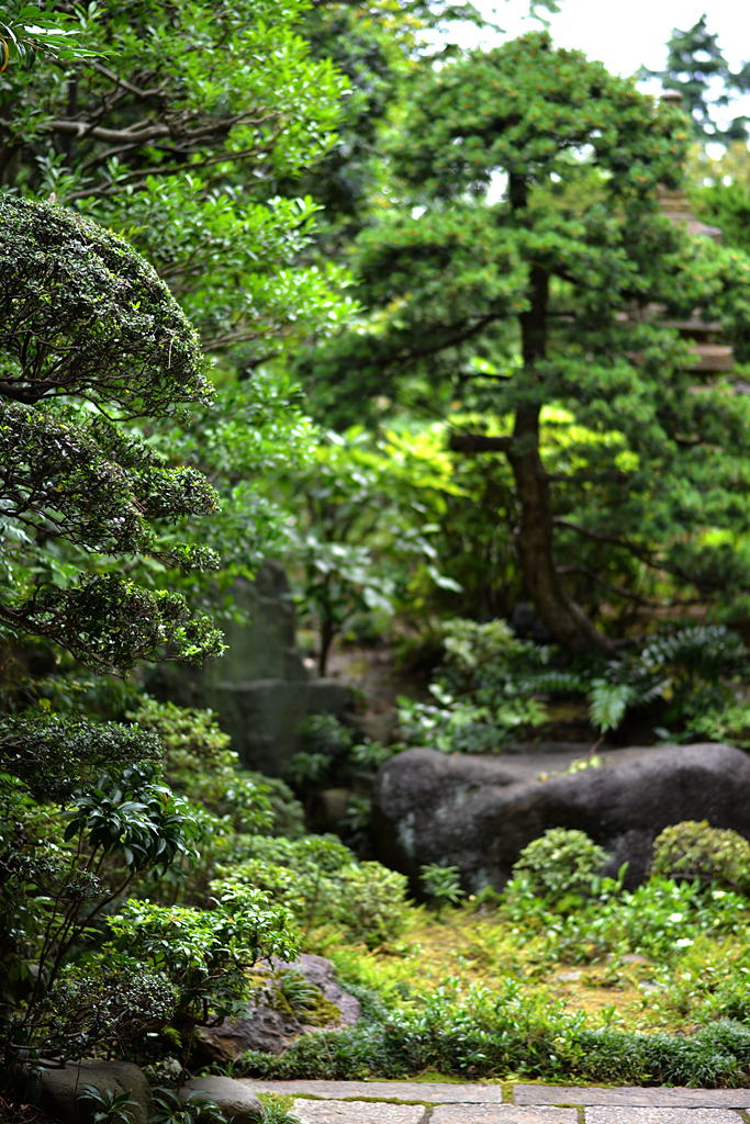 美しき庭園