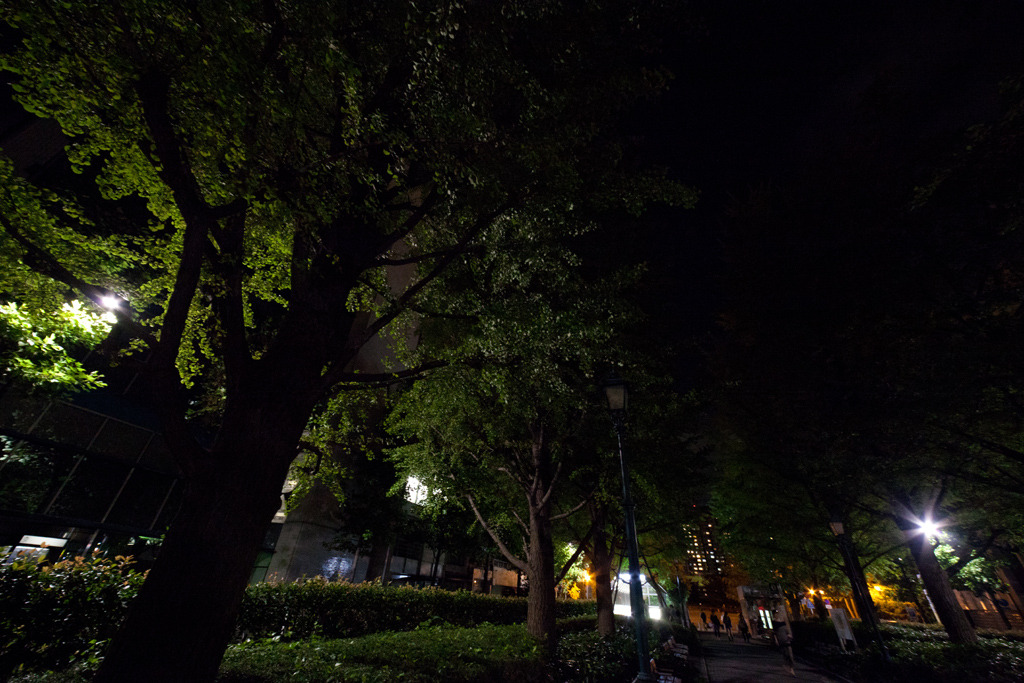 夜の浜町公園