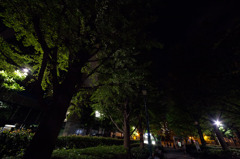 夜の浜町公園