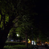 夜の浜町公園