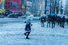 ある雪の日の秋葉原(客引きのメイドさん)