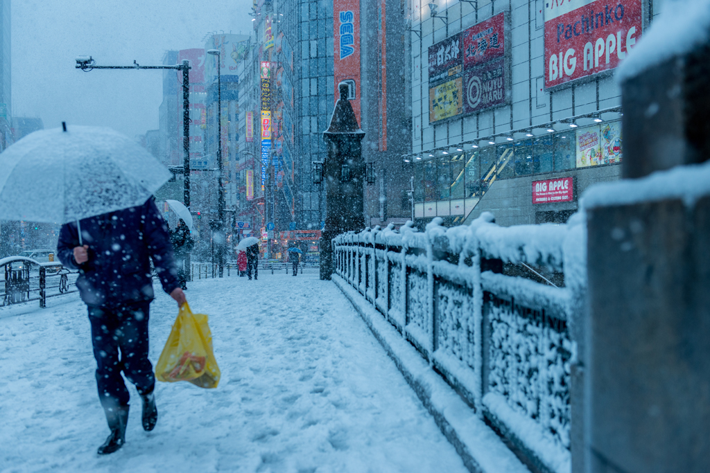 ある雪の日の秋葉原(万世橋２)