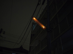 最後の輝き