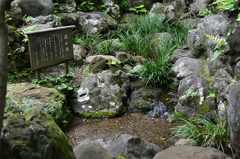 湧く名水（国分寺その６）