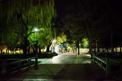 夜の清澄公園