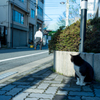 行ってらっしゃい
