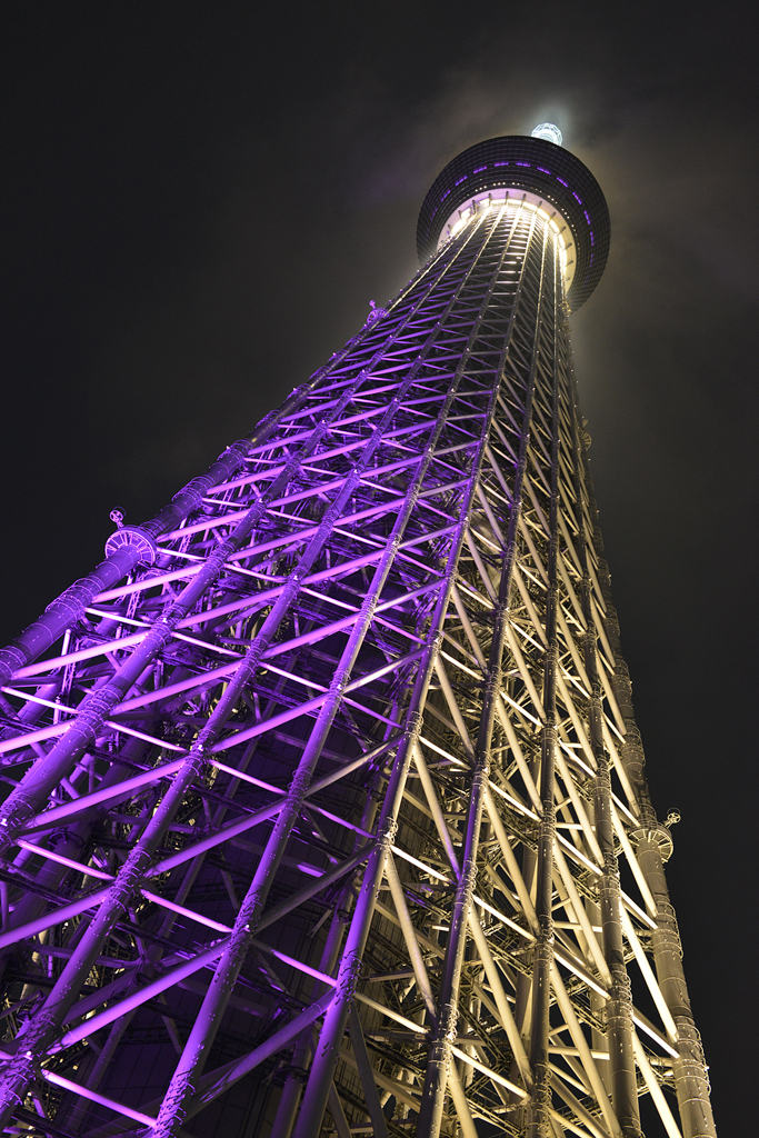 輝く天空の塔