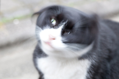 ぶるるんっ