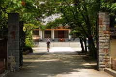 大きな背中と小さな願い