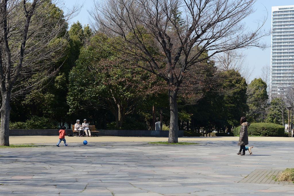 木場公園で遊ぶ