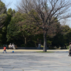 木場公園で遊ぶ